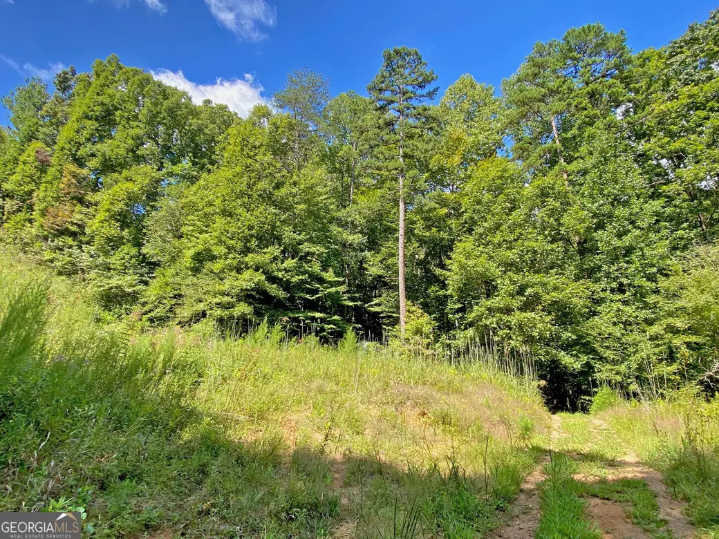 Dahlonega, GA 30533,0 Falling Pines RD