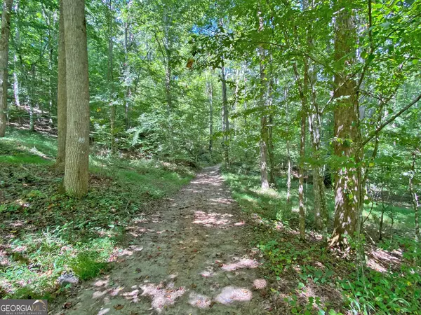 Dahlonega, GA 30533,0 Falling Pines RD