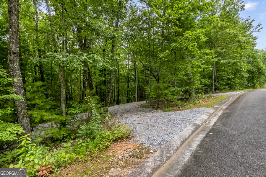 9-10 Abbott Mill Road, Ellijay, GA 30540