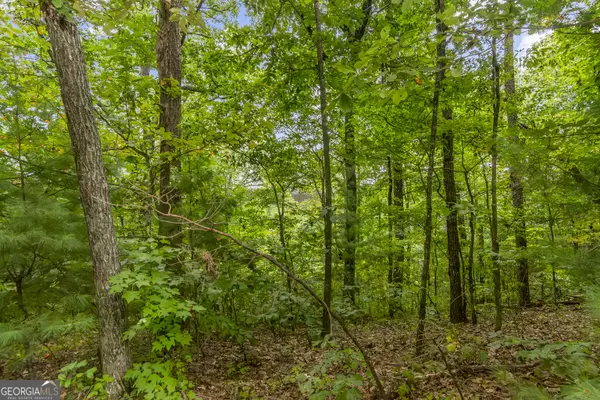 Ellijay, GA 30540,LOT 16 Abbott Mill Road