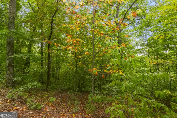 Ellijay, GA 30540,LOT 16 Abbott Mill Road