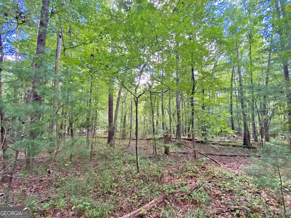 Ellijay, GA 30540,152AC Whitepath Road