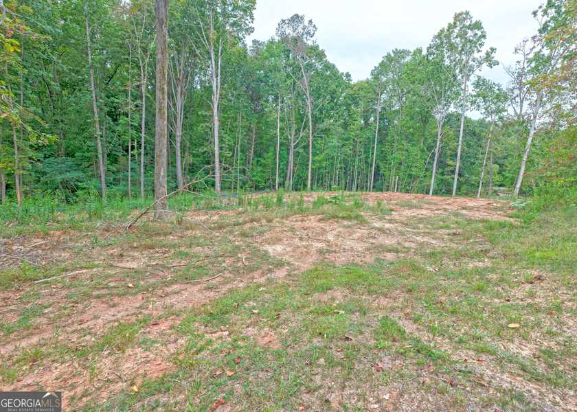 LOT 8 Andrews Subdivision Rd, Lavonia, GA 30553