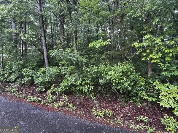 Hiawassee, GA 30546,LOT 9 Mcridge Drive