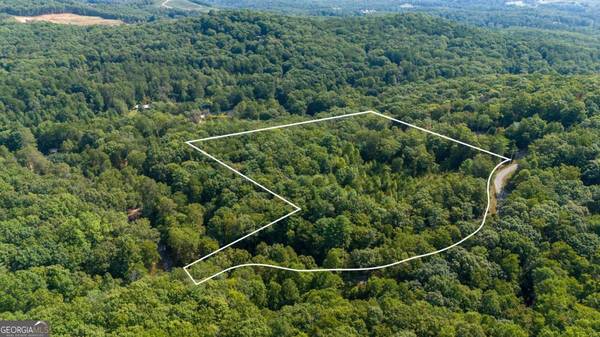 Blue Ridge, GA 30513,9.16 AC. Sunrock Mountain RD