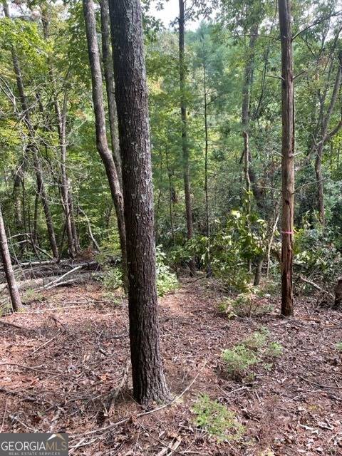 LOT 7 Alte Bruecke Strasse, Helen, GA 30545