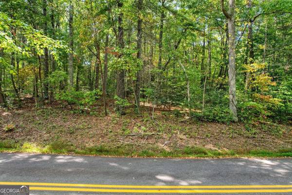 Blairsville, GA 30512,LOT 11 Lakemont