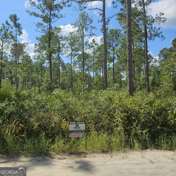 0 Stokes Lake RD #14, 15, Folkston, GA 31537