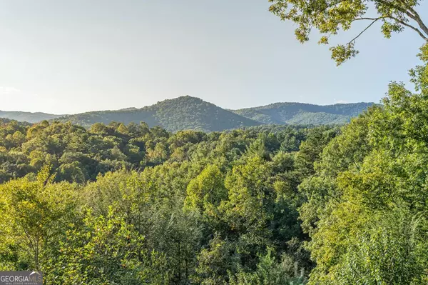 Ellijay, GA 30540,1144 Settlers Ridge RD