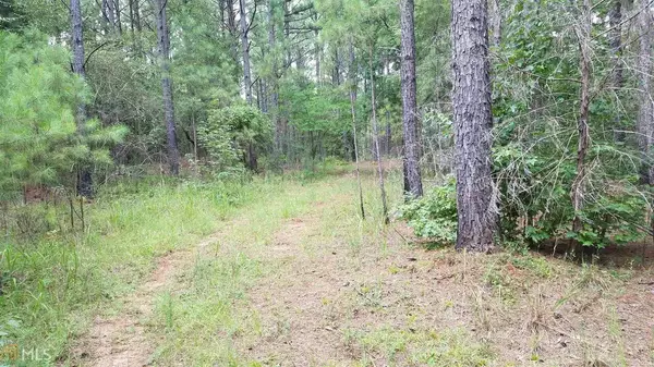 Thomaston, GA 30286,LOT 4 Old Talbotton & Gordon School Rd