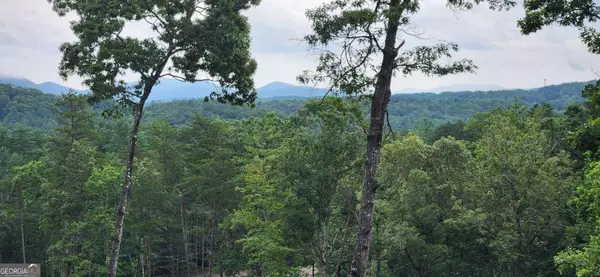 Mineral Bluff, GA 30559,LOT 6 Mountain Laurel Ridge