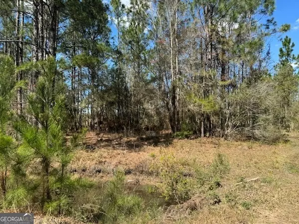 Waycross, GA 31503,TRACT 86 Bertran Trail