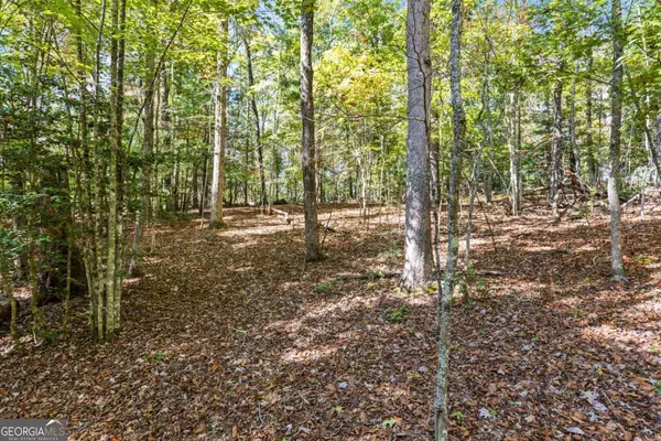 Blue Ridge, GA 30513,LOT 1,2 Timberlake RD