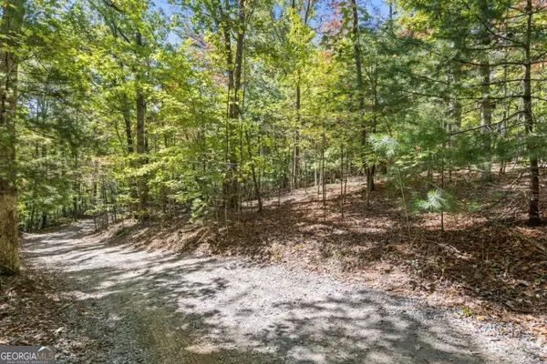 Blue Ridge, GA 30513,LOT 1,2 Timberlake RD