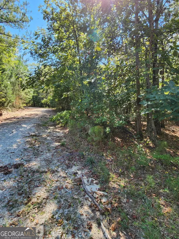 Elberton, GA 30635,0 Blackberry Bend #LOT 6