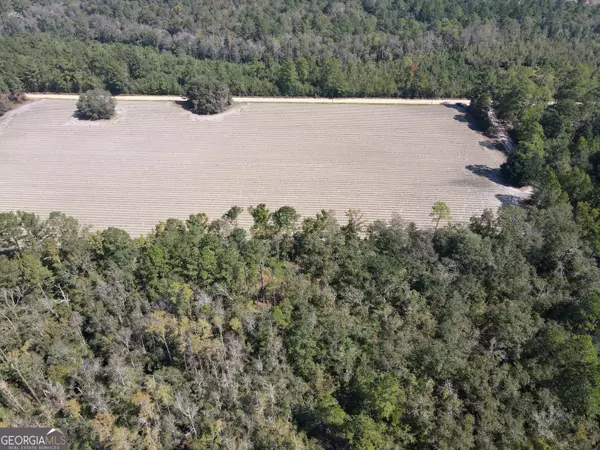 Pembroke, GA 31321,0 Floyd Road #LOT 8