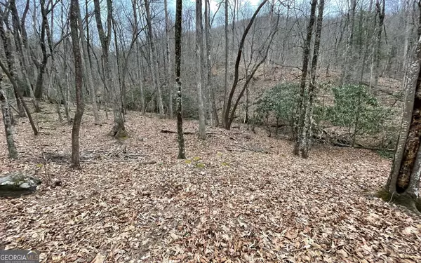 Hayesville, NC 28904,LOT 22 High Meadows