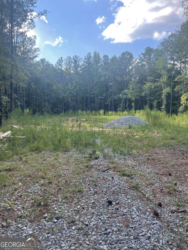 LOT 3 Cecil Hunter Rd, Moreland, GA 30259