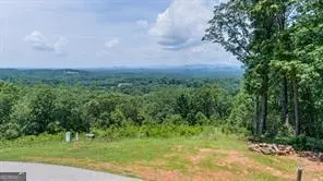 25 Long Mountain TRL, Cleveland, GA 30528