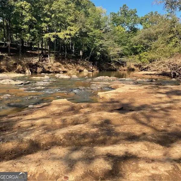 80+/- ACRES Reeves RD, Roberta, GA 31078