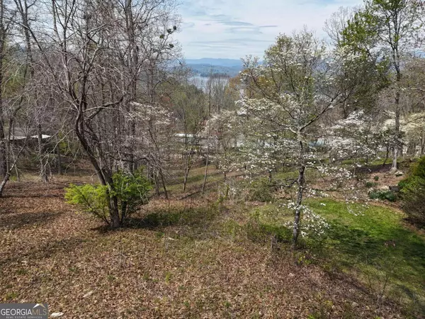 Hayesville, NC 28904,LOT 12 Chatuge Cove DR