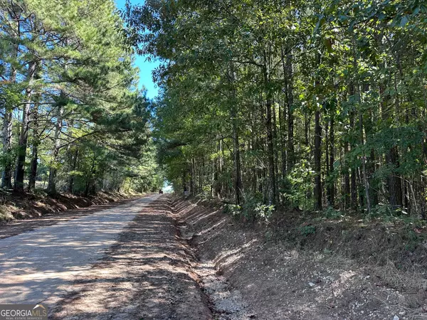 Luthersville, GA 30251,13.6 AC Crimson Rd