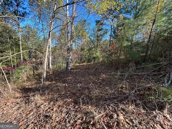 Blairsville, GA 30512,0 Marshall Rise #LOT 379