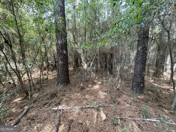 Cochran, GA 31014,LOT 15 Honeysuckle TRL