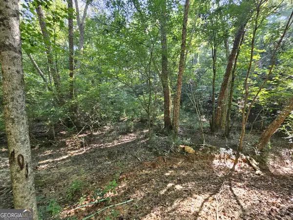 LOT 2 Jack Pittman RD, Dacula, GA 30019