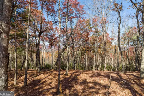 Ellijay, GA 30536,LOT 40 Preserve TRL