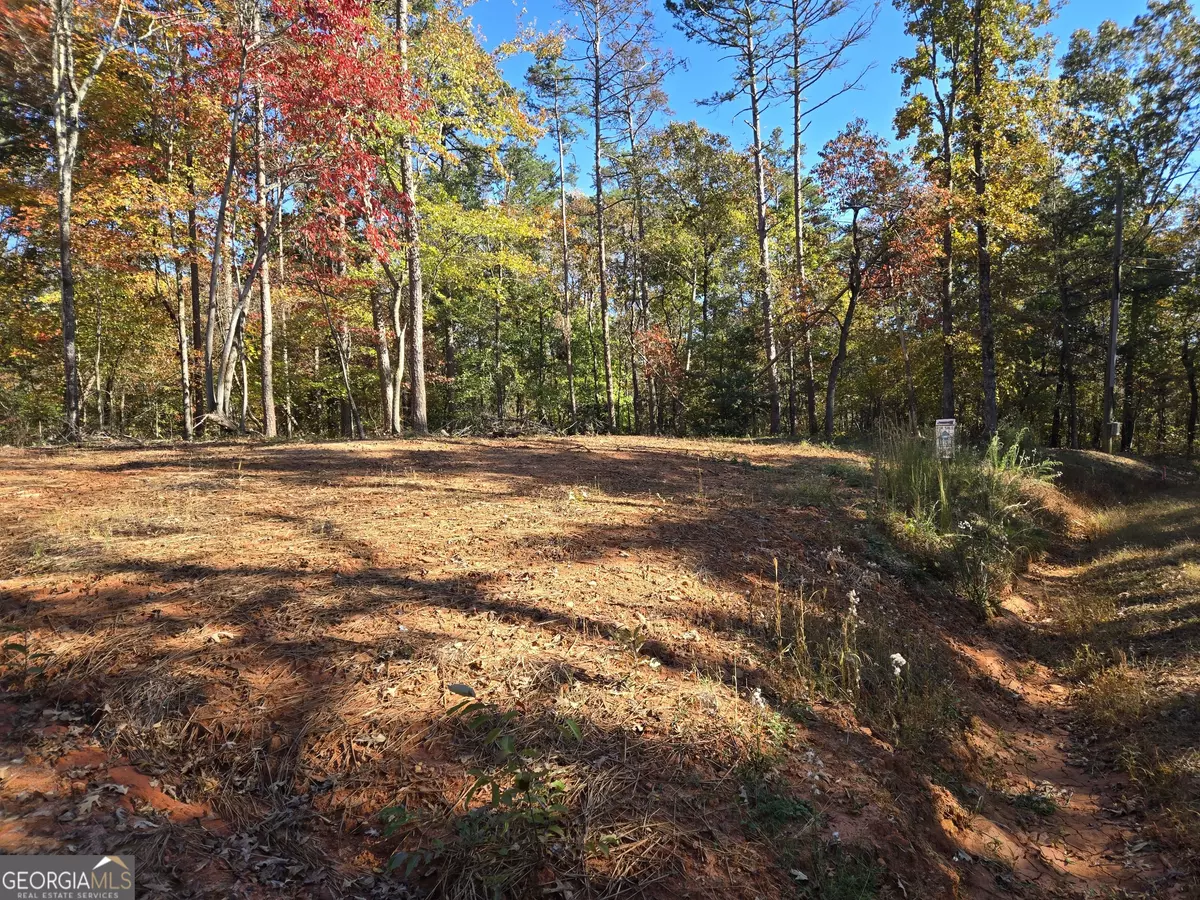 Demorest, GA 30535,5.96 ACRES Canyon Point