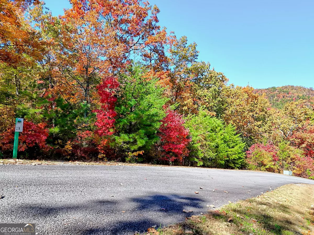 Clayton, GA 30525,LOT 23 Black Rock Estates