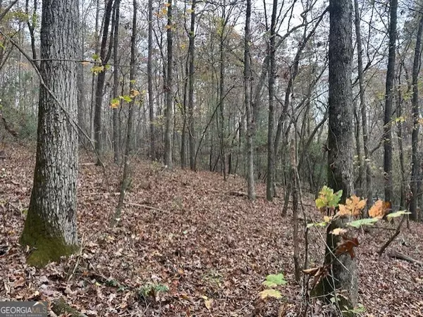 Ellijay, GA 30536,LOT 11 Clear Creek Preserve WAY