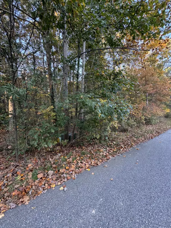 Maysville, GA 30558,LOT 101 Del Ray Drive