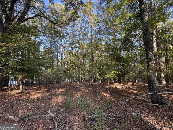 0 Piedmont Lake Road,  Pine Mountain,  GA 31822