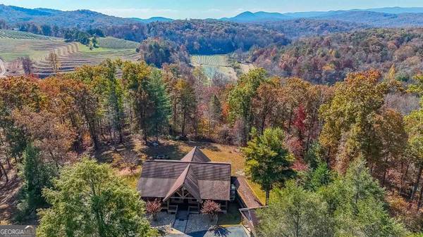 Blue Ridge, GA 30513,15 Cider House LN