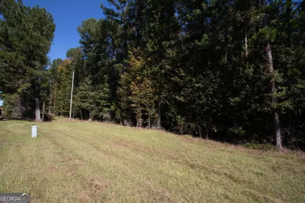 Bishop, GA 30621,LOT D Salem RD