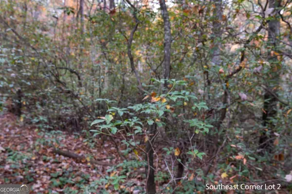 Clarkesville, GA 30523,0 Wilderness