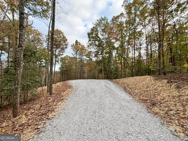 Ellijay, GA 30540,LOT 2 Mt Springer RD