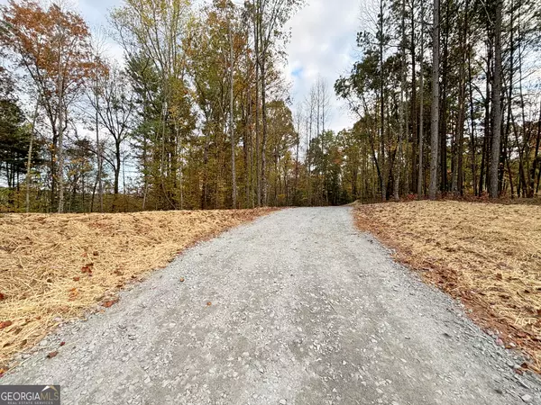 Ellijay, GA 30540,LOT 2 Mt Springer RD