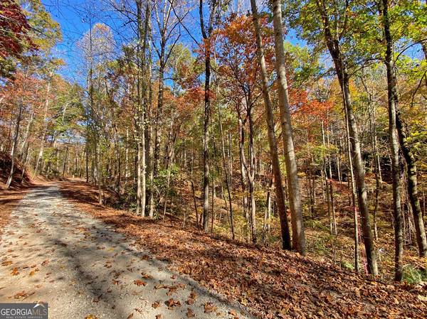 2.43AC Old River Road, Dahlonega, GA 30533