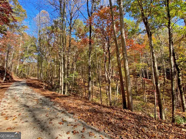 2.43AC Old River Road, Dahlonega, GA 30533