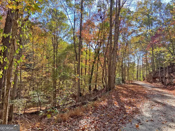 Dahlonega, GA 30533,2.43AC Old River Road