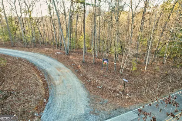 Mineral Bluff, GA 30559,LOT 5 Wild Goose LN