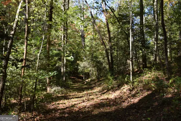 Ellijay, GA 30540,32.98 ACRES Zion Hill Road