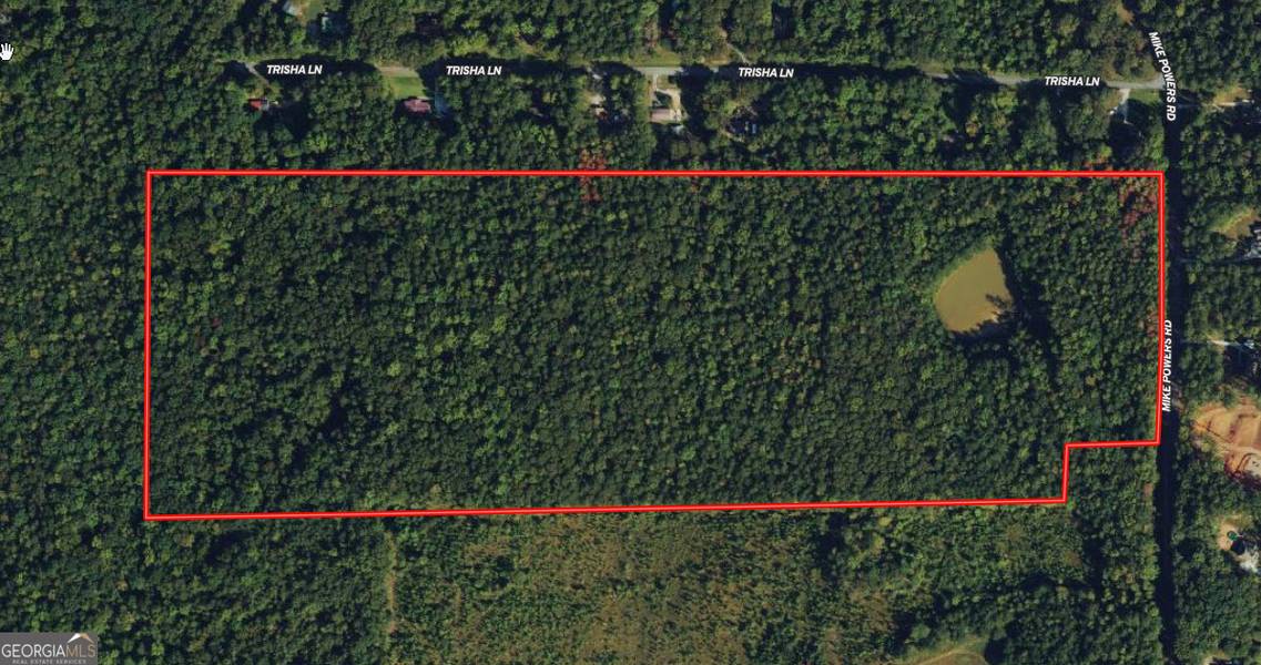 61.990 AC Mike Powers RD, Grantville, GA 30220