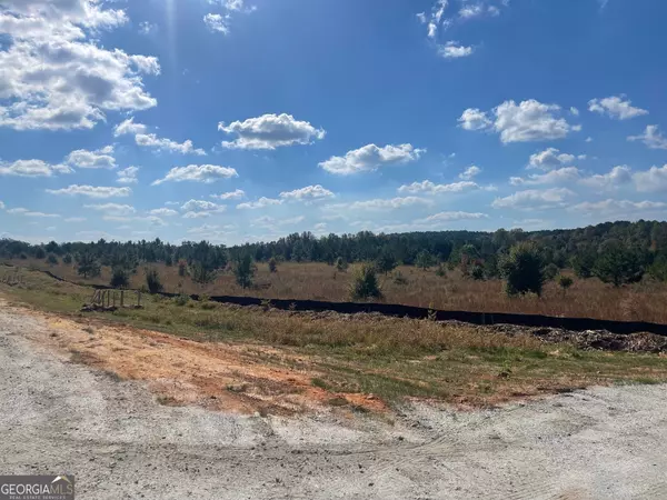 Hogansville, GA 30230,0 Coweta Heard RD #LOT 8