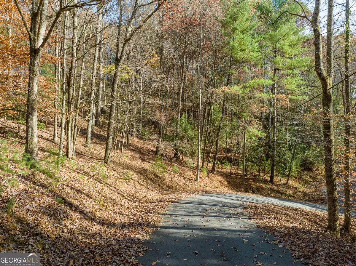 Ellijay, GA 30540,0 Lookiba #LOT 7