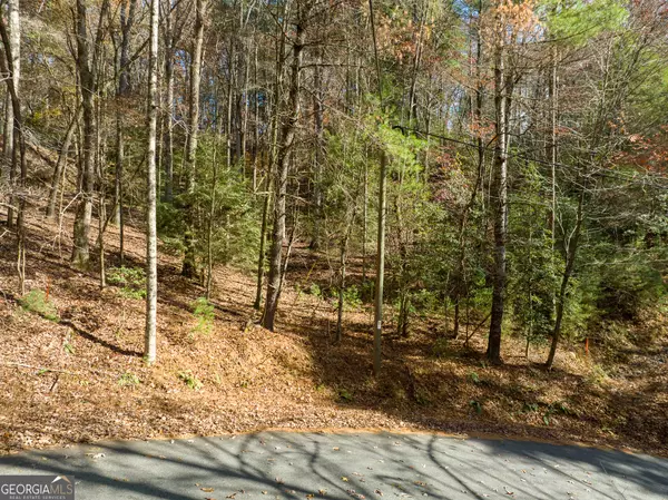 Ellijay, GA 30540,0 Lookiba #LOT 7