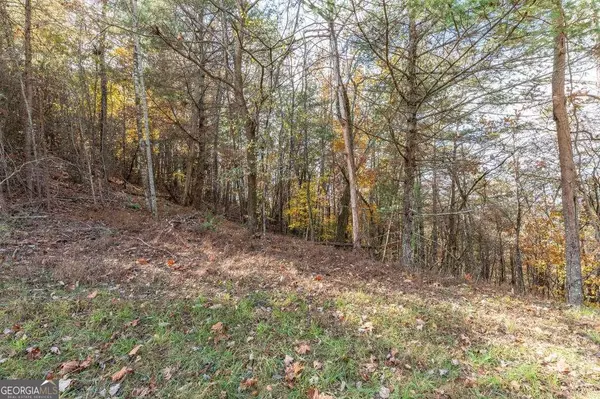 Mineral Bluff, GA 30559,LOT 1 Walker M Sluder Farm RD